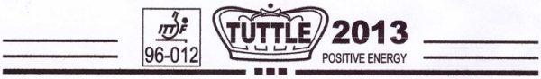 Tuttle 2013 Positive Energy