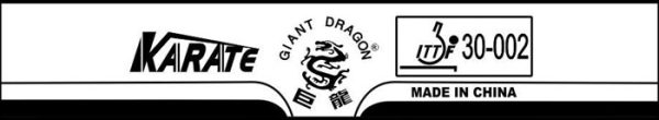 Giant Dragon Karate