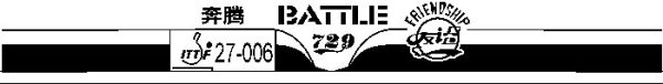Friendship 729 Battle