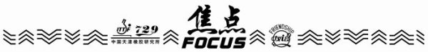 Friendship 729 Focus