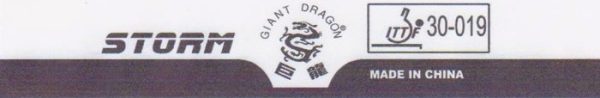 Giant Dragon Storm