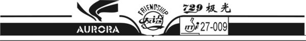Friendship 729 Aurora