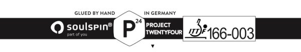 Soulspin Project Twentyfour (P24)