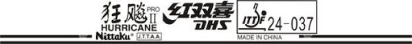 Double Happiness / DHS Nittaku Hurricane Pro II