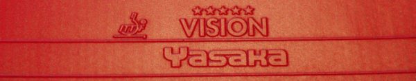 Yasaka Vision